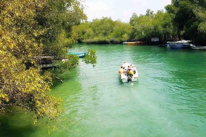 Madu River Safari at Balapitiya - Kothduwa Temple and the island visit
