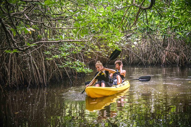 Madu River Sunrise Mangrove Kayaking - Is $110 a fair price?