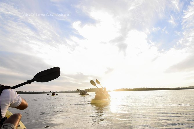 Madu River Sunrise Mangrove Kayaking from Bentota - Key points to know before booking