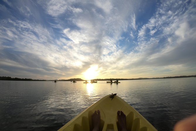 Madu River Sunrise Mangrove Kayaking from Bentota - What is included, and what is not