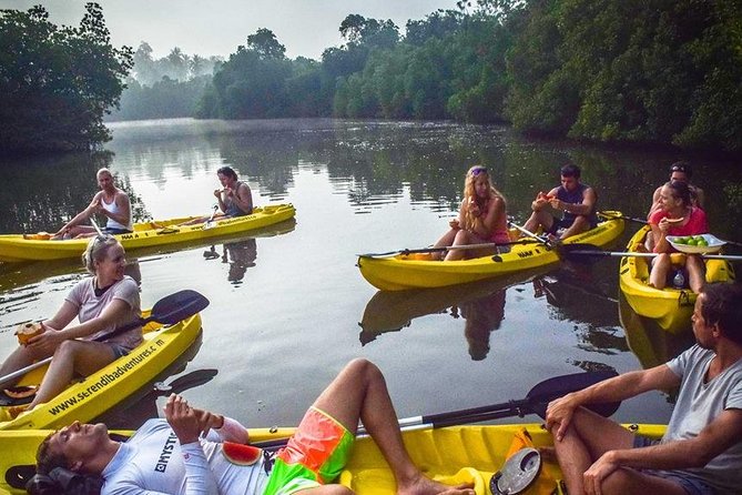 Madu River Sunrise Mangrove Kayaking from Bentota - Is $125 a fair price?