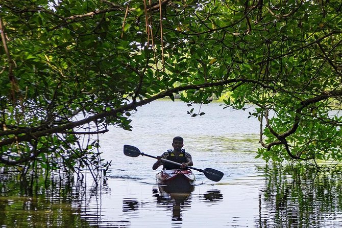Madu River Sunrise Mangrove Kayaking from Bentota - Who will enjoy this paddle most