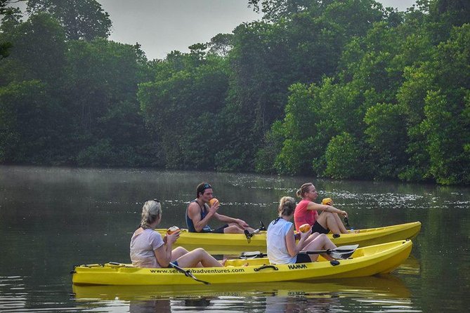 Madu River Sunrise Mangrove Kayaking from Bentota - Booking, weather, and cancellation advice