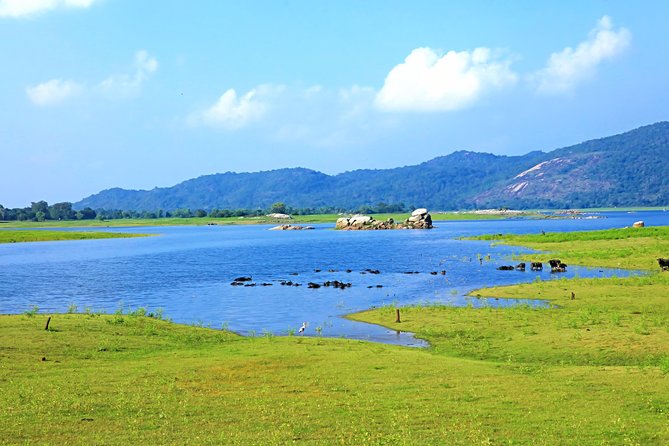 Maduru Oya National Park Private Safari with Naturalist - Starting at the park entrance