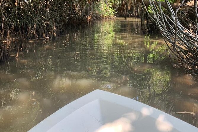 Mangrove Adventure - Is $25 a fair price?