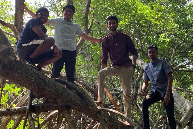 Mangrove Adventure - Starting at Gagabada Road