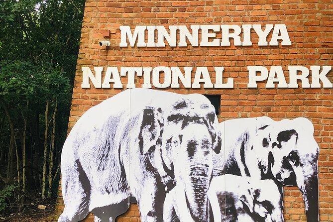 Minneriya Half Day Safari - A driver who shapes the experience