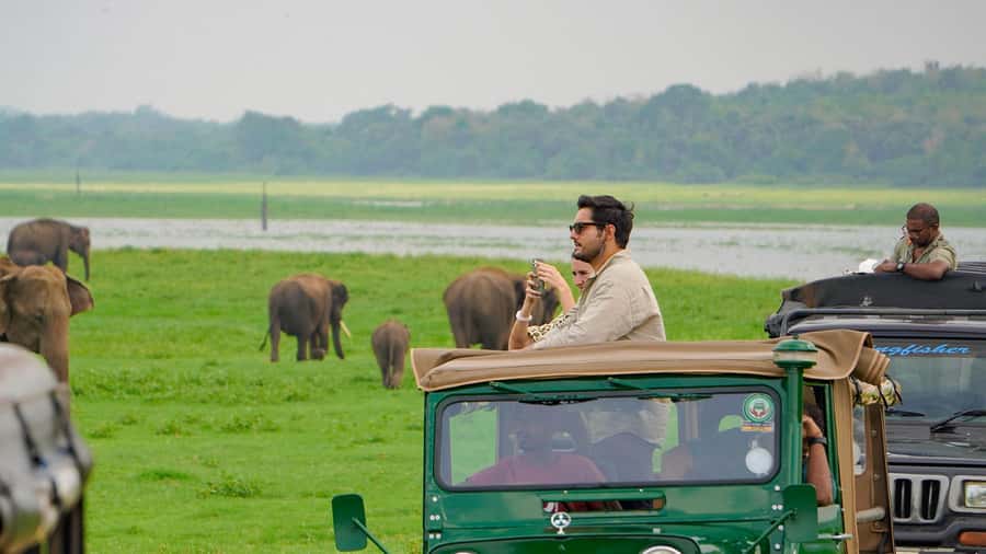 Minneriya: Minneriya National Park Private Evening Safari - Inside the park: forest, grassland, and wetland