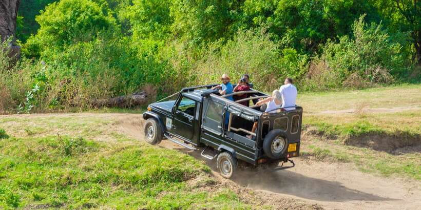 Minneriya: Minneriya National Park Private Safari - Elephants come first, and that matters