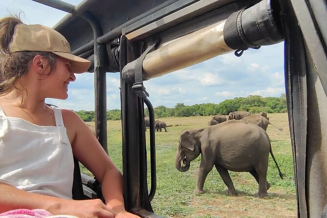 Minneriya National Park Elephant Jeep Safari Private Tour - Why Minneriya is famous for elephants