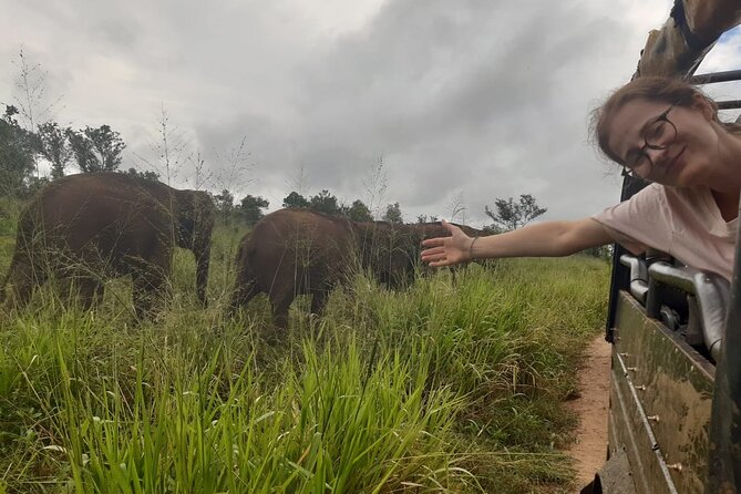 Minneriya National Park Elephant Jeep Safari Private Tour - Minneriya National Park and the ancient reservoir