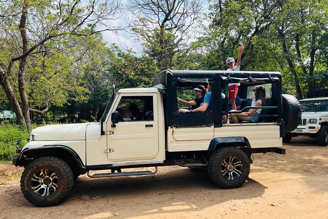Minneriya National Park Elephant Safari from Sigiriya - What you may see beyond the elephants