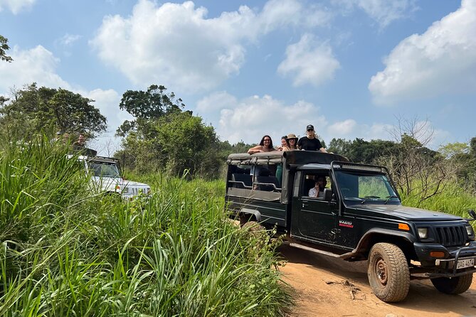 Minneriya National Park Elephant Safari from Sigiriya - Who will enjoy this safari most