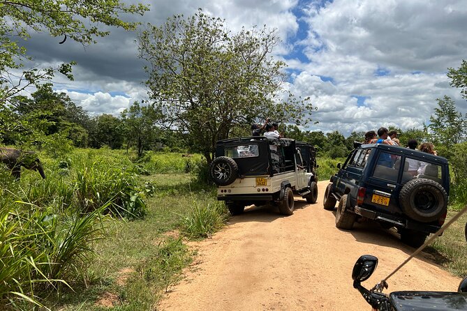 Minneriya National Park Elephant Safari Tour - A private jeep makes a four-hour safari easier