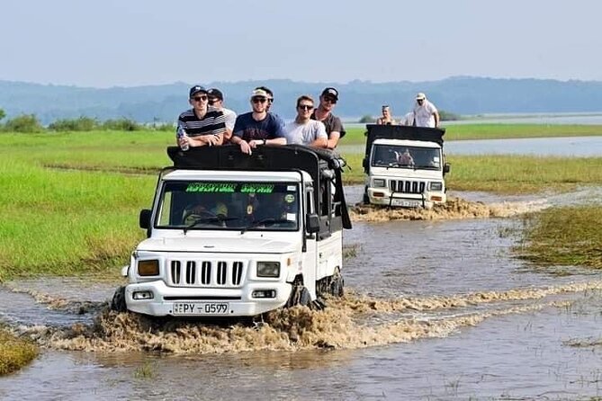 Minneriya National Park halfday Safari - What the four-hour Jeep safari feels like