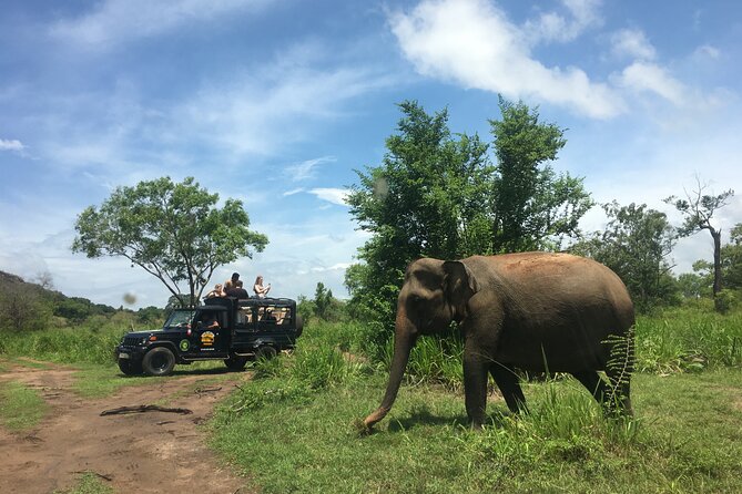 Minneriya National Park halfday Safari - What is included, and what costs extra