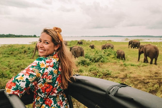 Minneriya National Park | Private Safari - Rain, Timing, and Wildlife Luck