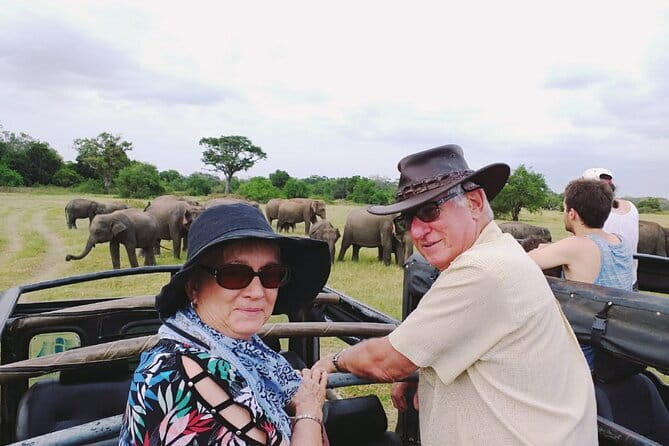 Minneriya National Park Safari [private , full package] - What you receive for the $100 price