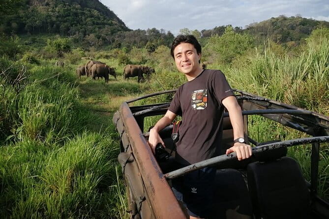 Minneriya National Park Safari - Private Jeep with Hotel Pickup - Why the Elephant Gathering Matters