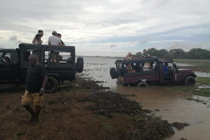Minneriya National Park Safari - Private Jeep with Hotel Pickup - Asela’s Role in the Experience
