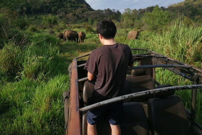 Minneriya National Park Safari - Private Jeep with Hotel Pickup - A Private Jeep Makes the Four Hours Easier