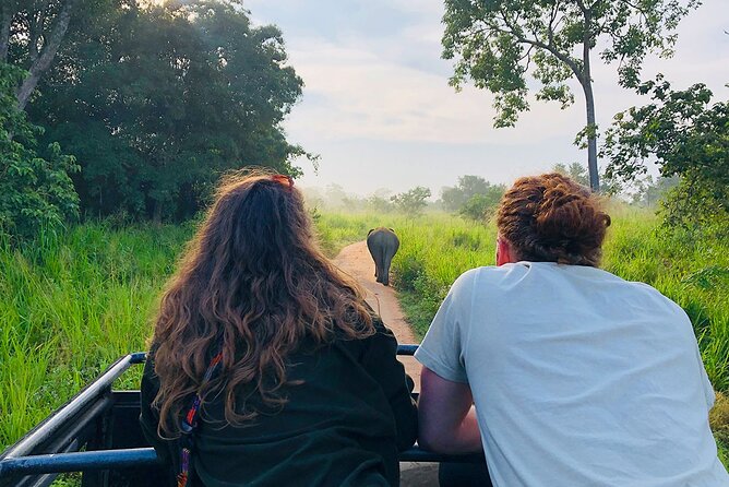 Minneriya National park Safari Sri Lanka - Elephants first, then the smaller sightings