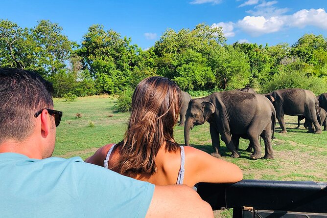 Minneriya National park Safari Sri Lanka - What the $100 price really covers
