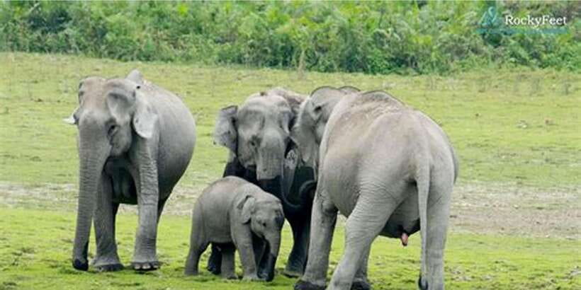 Minneriya: Private Jeep Safari From Trincomalee - Changing into the safari jeep