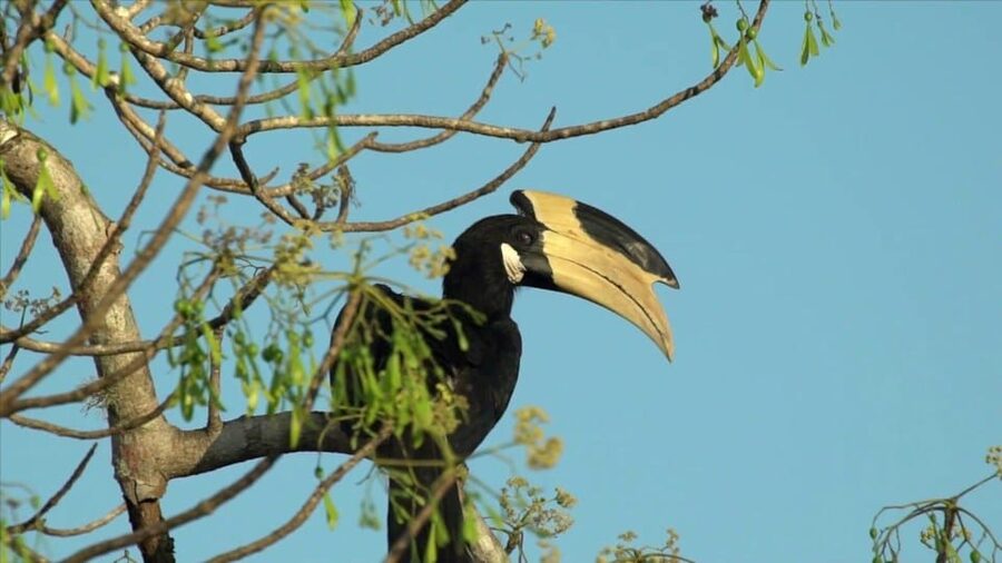 Minneriya: Private Jeep Safari From Trincomalee - The three extra stops and their tradeoffs