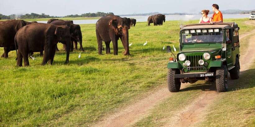 Minneriya: Private Jeep Safari From Trincomalee - Leaving Trincomalee in a private vehicle