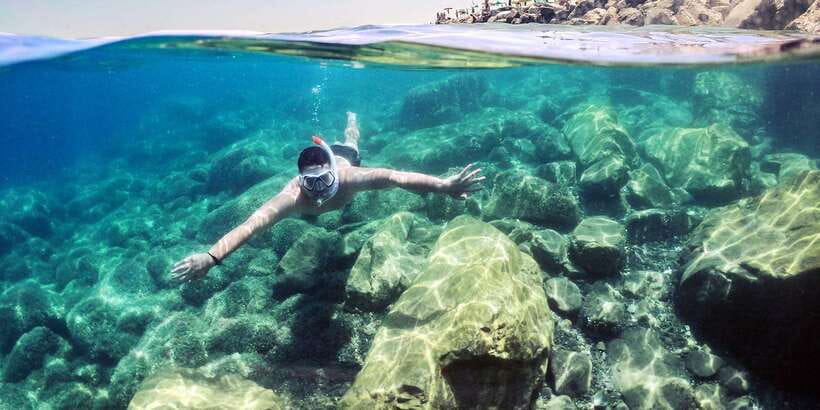 Mirissa: Snorkeling Experience with Turtles - Key points to know before booking