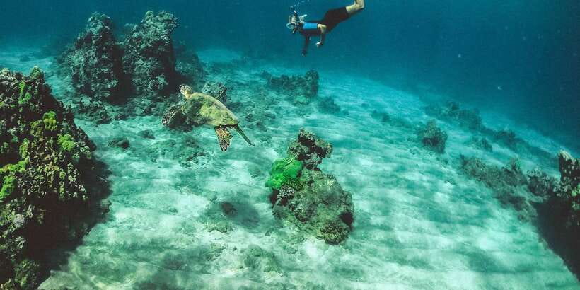 Mirissa: Snorkeling Experience with Turtles - What the water time feels like