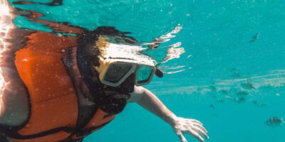Snorkeling Experience with Turtles