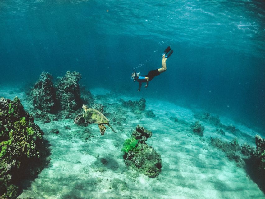 Mirissa: Snorkeling Experience with Turtles - Should you book it?