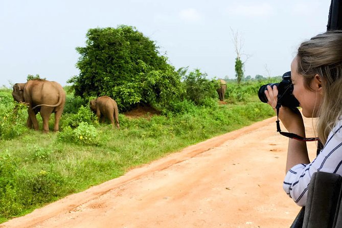 Mirissa to Ella Shuttle & Udawalawe Safari Drive with Breakfast - Is the $75 Price Good Value?