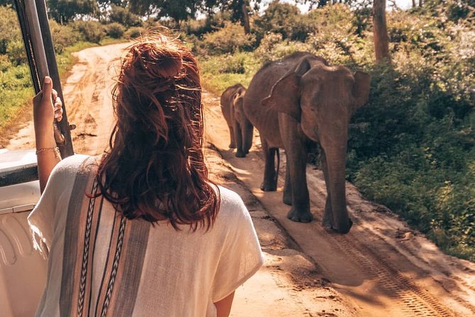Mirissa to Ella Shuttle & Udawalawe Safari Drive with Breakfast - Who Should Book This Experience?