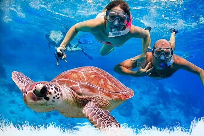 Mirissa Unforgettable Snorkeling Experience with Turtles - Quick points to know before booking