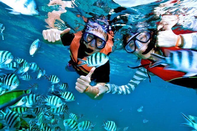 Mirissa Unforgettable Snorkeling Experience with Turtles - Pictures, snacks, and the practical finish