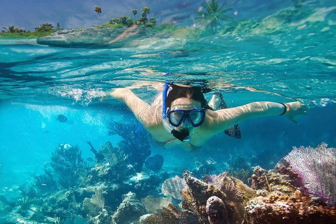 Mirissa Unforgettable Snorkeling Experience with Turtles - Is $24 a fair price?