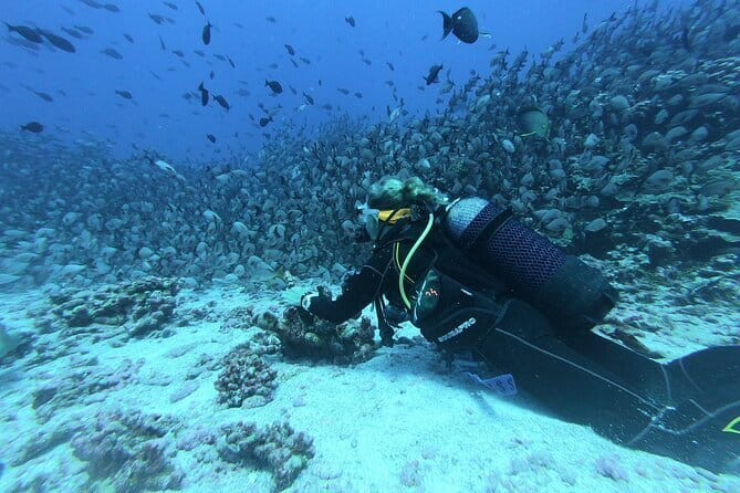 Mirissa Unforgettable Snorkeling Experience with Turtles - Safety, comfort, and the private-group advantage