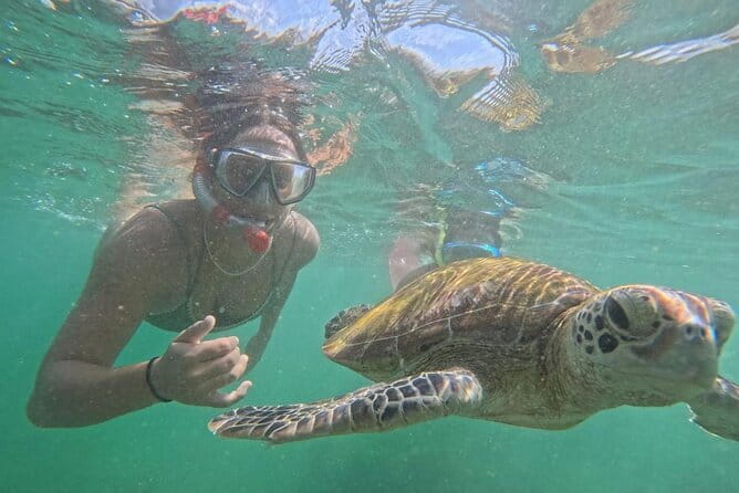 Mirissa Unforgettable Snorkeling Experience with Turtles - What happens before you enter the water