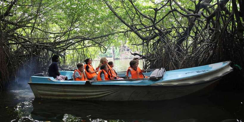 Mirissa/Weligama/Galle: Galle & Bentota Coastal Day Tour - Meeting turtles and other sea creatures