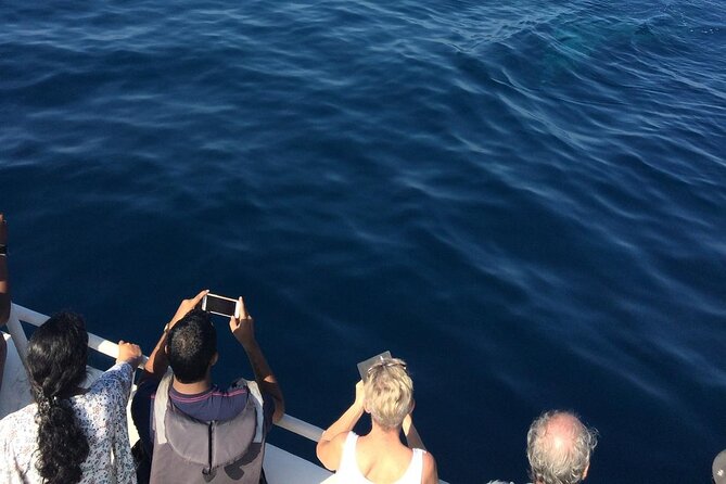 Mirissa Whale & Dolphin Watching Cruise with Geeth’s Crew - Geeth’s crew and the value of local experience