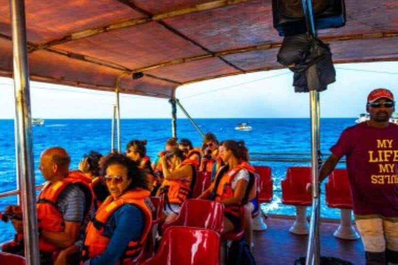 Mirissa: Whale Watching Cruise - Breakfast and water are useful, but check what is included