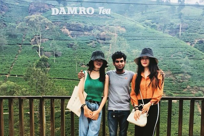 Most Popular Round Tour in Sri Lanka - Day 4: Nuwara Eliya and Sri Lankan tea country
