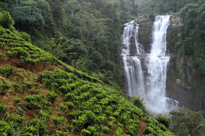 Mr.TukTuk Nuwara Eliya - Ramboda Waterfall begins the day with a short climb