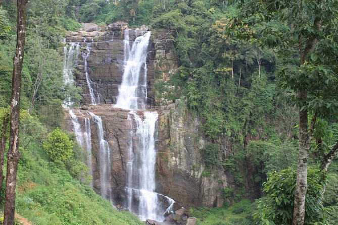 Mr.TukTuk Nuwara Eliya - The guides are a major part of the experience
