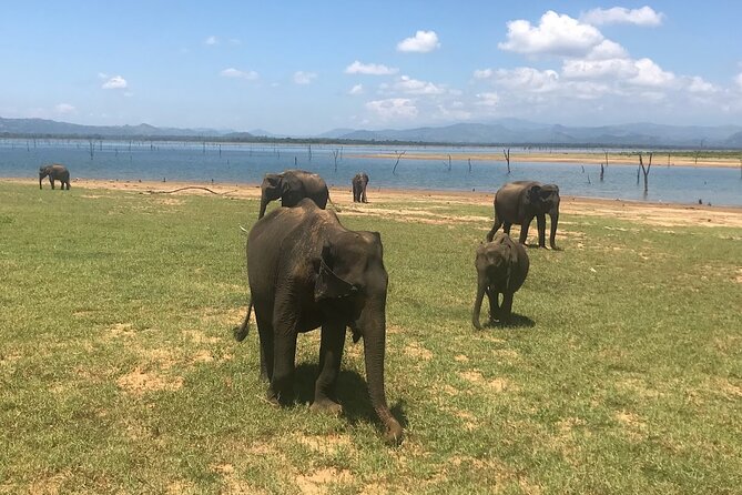 Multi Day Private Tour Around Sri Lanka with our Personal Driver - Day 1: Dambulla, Sigiriya, and lunch in a village