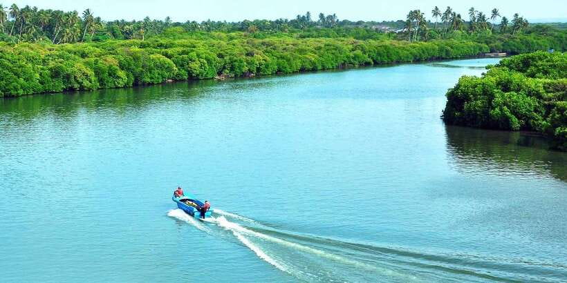 Muthurajawela Bird Watching Tour from Negombo and Colombo - Key things to know before you book