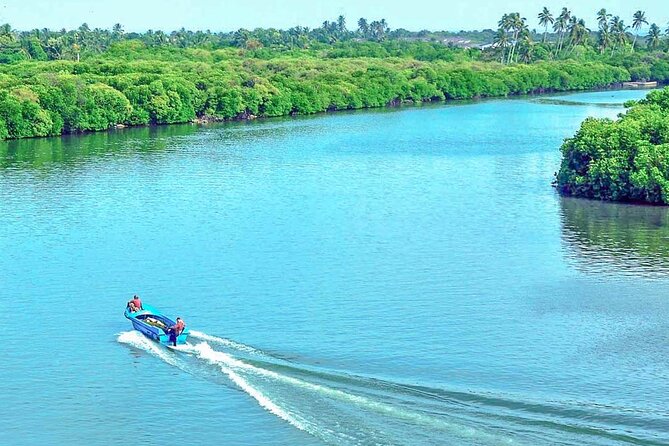 Muthurajawela Bird Watching Tour from Negombo / Colombo - The 7:00 a.m. tuk-tuk pickup